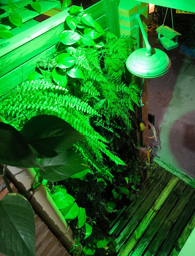 Delicinha do Mar na Praia de Bombas - Loft 01