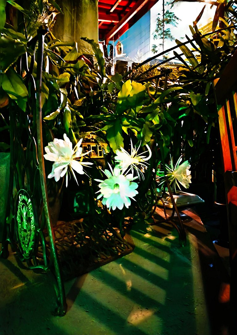 Delicinha do Mar na Praia de Bombas - Loft 01